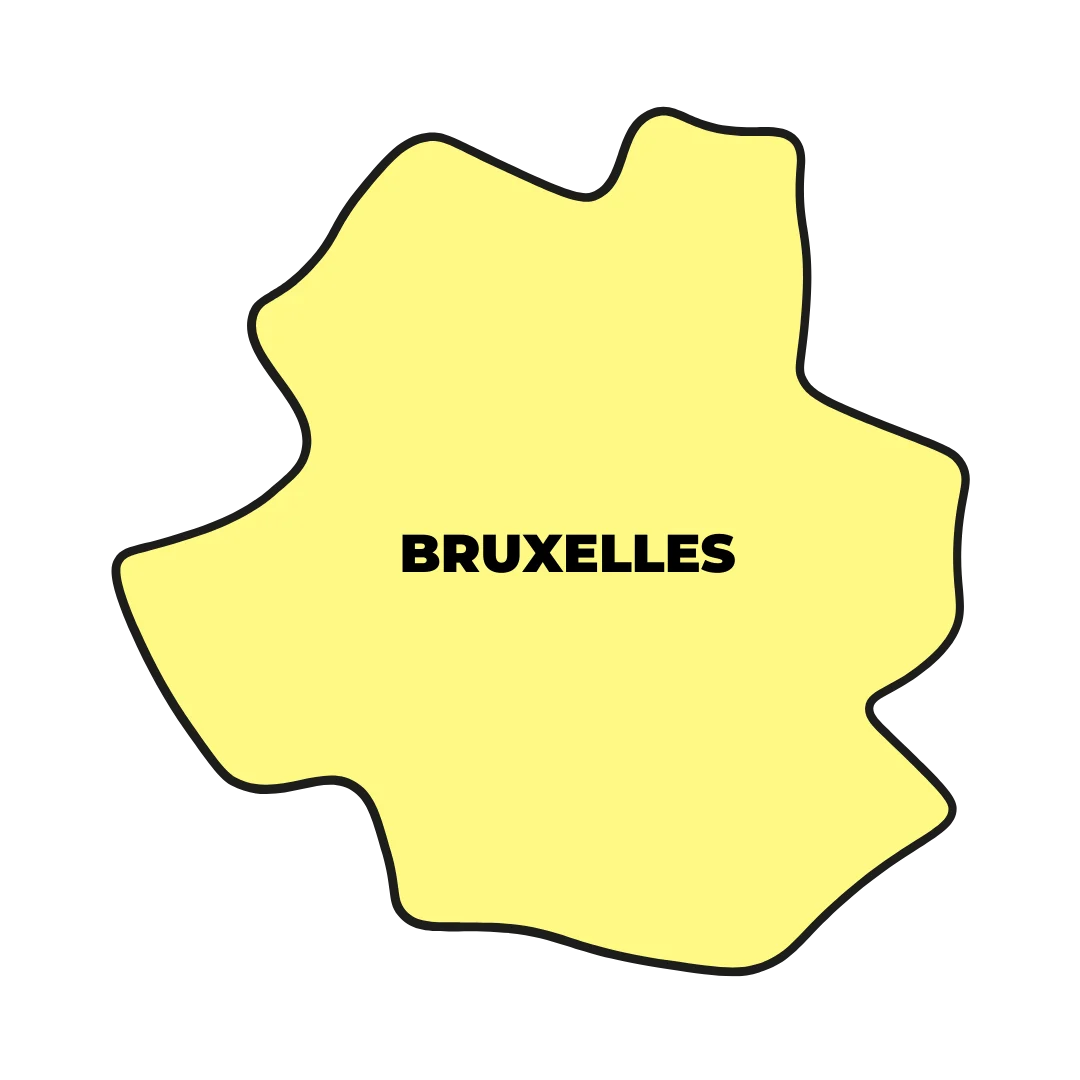 Installation photovoltaique panneaux solaires bruxelles