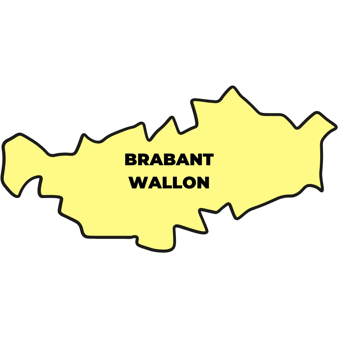 Installation photovoltaique panneaux solaires brabant wallon